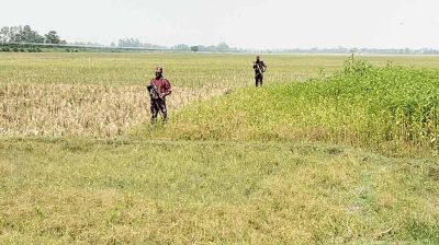 সীমান্তে ৭ জনকে পুশইনের চেষ্টা বিএসএফের