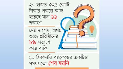 দক্ষতার প্রদীপেই নিভুনিভু আলো