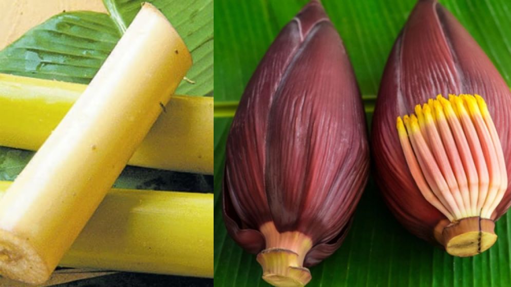 কিডনির পাথর প্রতিরোধে কলার মোচা