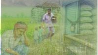 সার সংকটে বোরো ফসল নিয়ে শঙ্কা, হয়রানির অভিযোগ কৃষকদের