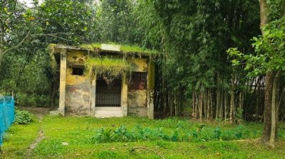এখন প্রেমপত্র আসে না, আসে শুধু তালাকপত্র!