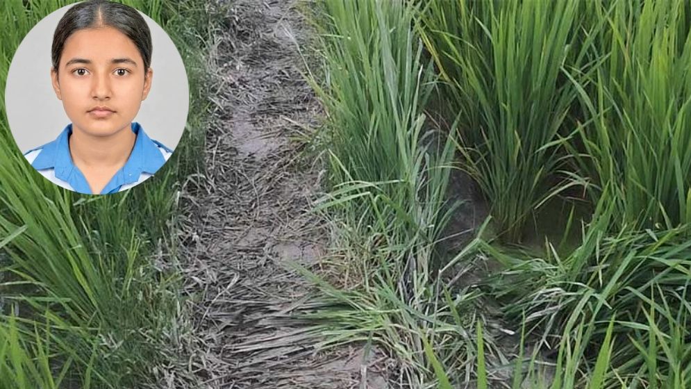 খেত জুড়ে ধস্তাধস্তির চিহ্ন, বাবাকে লাইভ লোকেশনও পাঠিয়েছিল তাজমীন