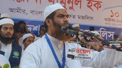 বিএনপির সমালোচনা করে যা বললেন মামুনুল হক