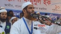 বিএনপির সমালোচনা করে যা বললেন মামুনুল হক