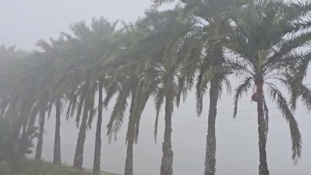 শীতের আগমনী সুর, খেজুরের রস-গুড় ঘিরে আশায় চুয়াডাঙ্গার গাছিরা