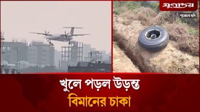 খুলে পড়ল উড়ন্ত বিমানের চাকা