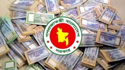 ৫০ হাজার টাকা বরাদ্দ যেসব দিবস উদযাপন-পালনে