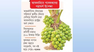 দুর্নীতির সাম্রাজ্যে অসহায় কৃষক