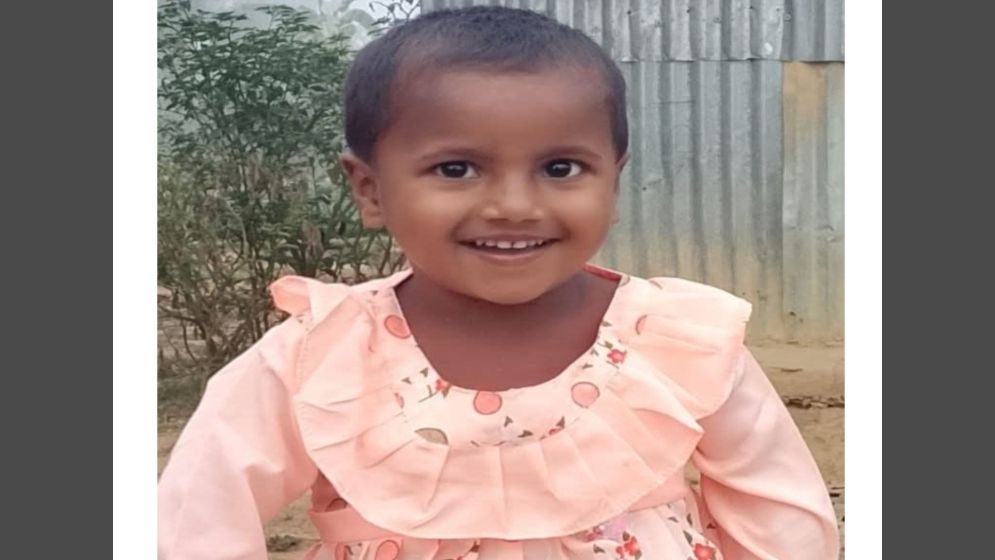 ঢিল ছোড়া, কামড় দেওয়া নিয়ে ক্ষোভ—প্রাণ হারাল শিশু হালিমা