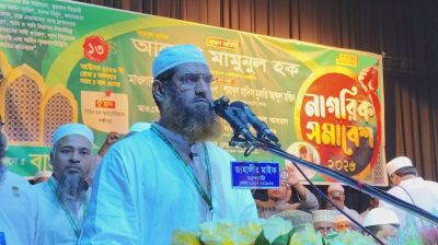 সংবিধান সংস্কারের অঙ্গীকার থেকে পিছু হটেছে সরকার: মামুনুল হক