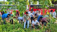 ডেঙ্গু প্রতিরোধে ঢাবির মল চত্বরে ছাত্রদলের পরিচ্ছন্নতা অভিযান