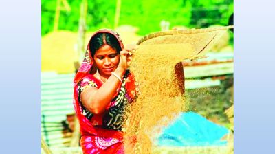 নিজের পায়ে দাঁড়ানোর লড়াইয়ে গ্রামের নারীরা