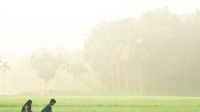শীত নিয়ে যে বার্তা দিল আবহাওয়া অধিদপ্তর