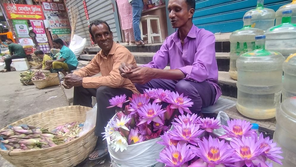 দুর্গাপূজা ঘিরে হাজারী গলিতে নীল শাপলার কদর
