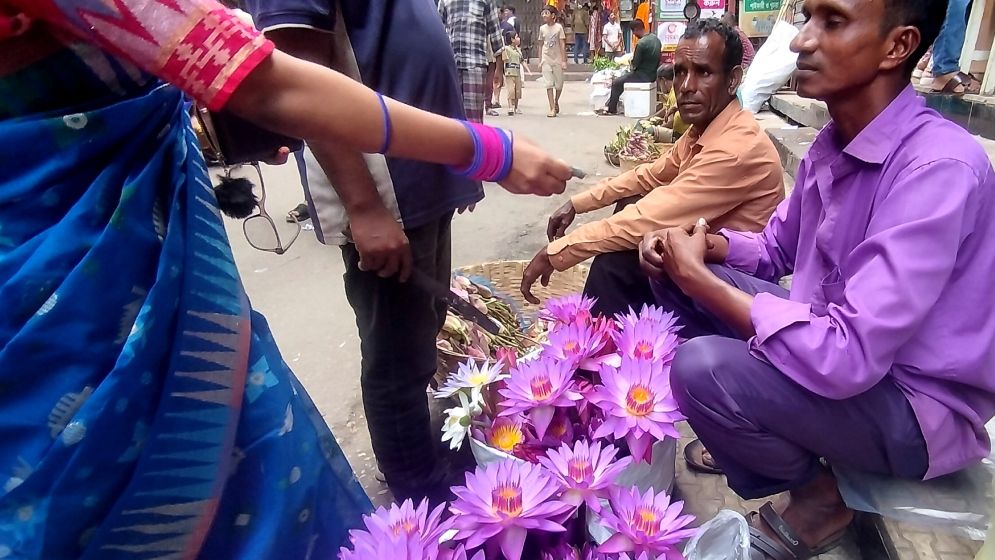 দুর্গাপূজা ঘিরে হাজারী গলিতে নীল শাপলার কদর