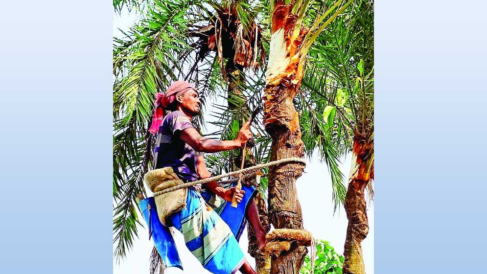 যশোরের ঐতিহ্য গুড়ের হাঁড়িতে সংকটের আঁচ
