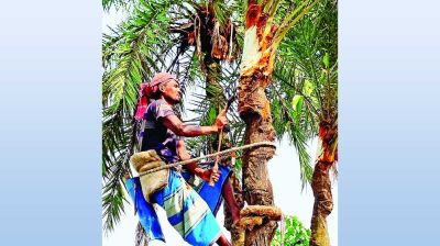 যশোরের ঐতিহ্য গুড়ের হাঁড়িতে সংকটের আঁচ