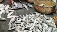 ‘আমি ৫ ওয়াক্ত নামাজ পড়ি, এসবের মধ্যে নেই’