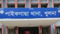 বাজার থেকে ছোট মাছ কিনে আনেন স্বামী, যা করলেন স্ত্রী