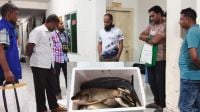 সরকারি পুকুরের মাছ বাড়ি নেওয়ার সময় খাদ্য কর্মকর্তা আটক