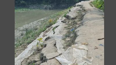 নির্মাণের ছয় মাসেই দেড় কোটি টাকার বেড়িবাঁধে ধস, খালে গাইডওয়াল