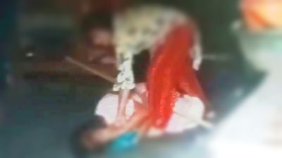 শাশুড়িকে মারধরের ভিডিও ভাইরাল, পুত্রবধূ আটক