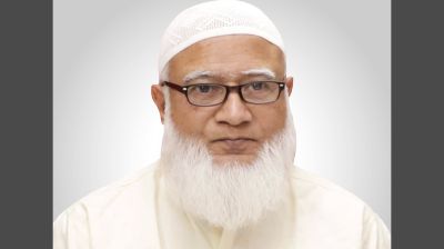 হায় সেলুকাস, আমাদের এই বাংলাদেশ