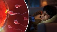 যে কারণে কমতে পারে পুরুষের শুক্রাণুর মান, যা বাড়ায় বন্ধ্যত্বের ঝুঁকিও