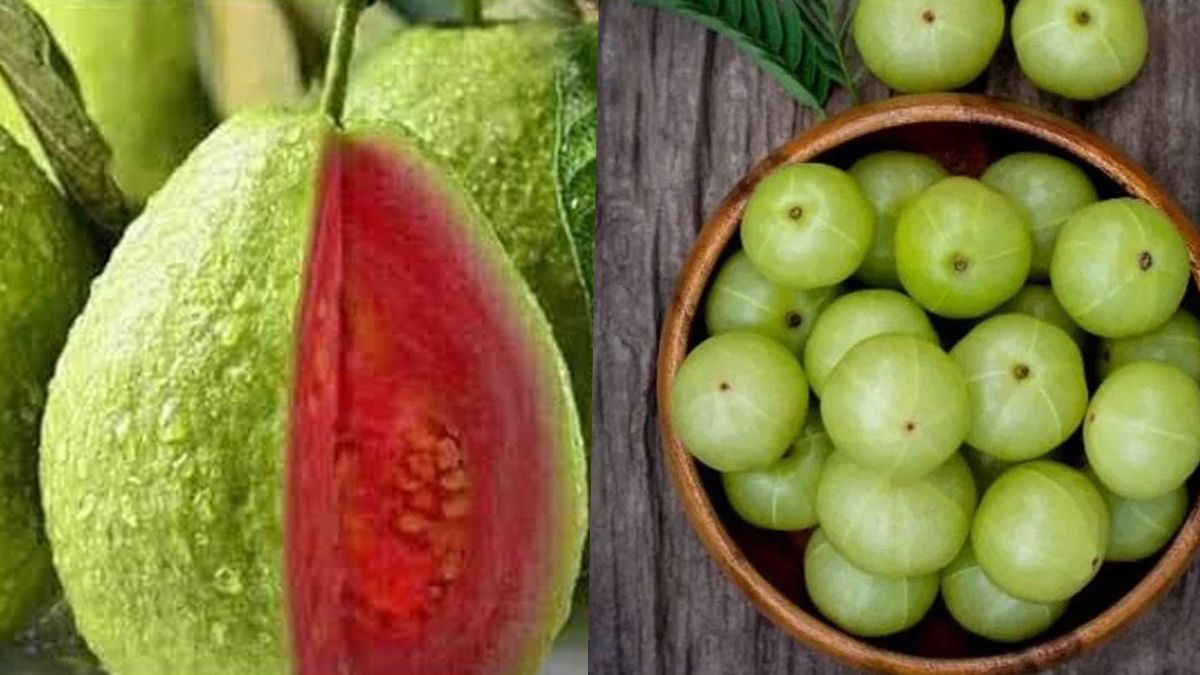 ভিটামিন সি পেতে কমলা নয়, খেতে পারেন যে ৫ খাবার