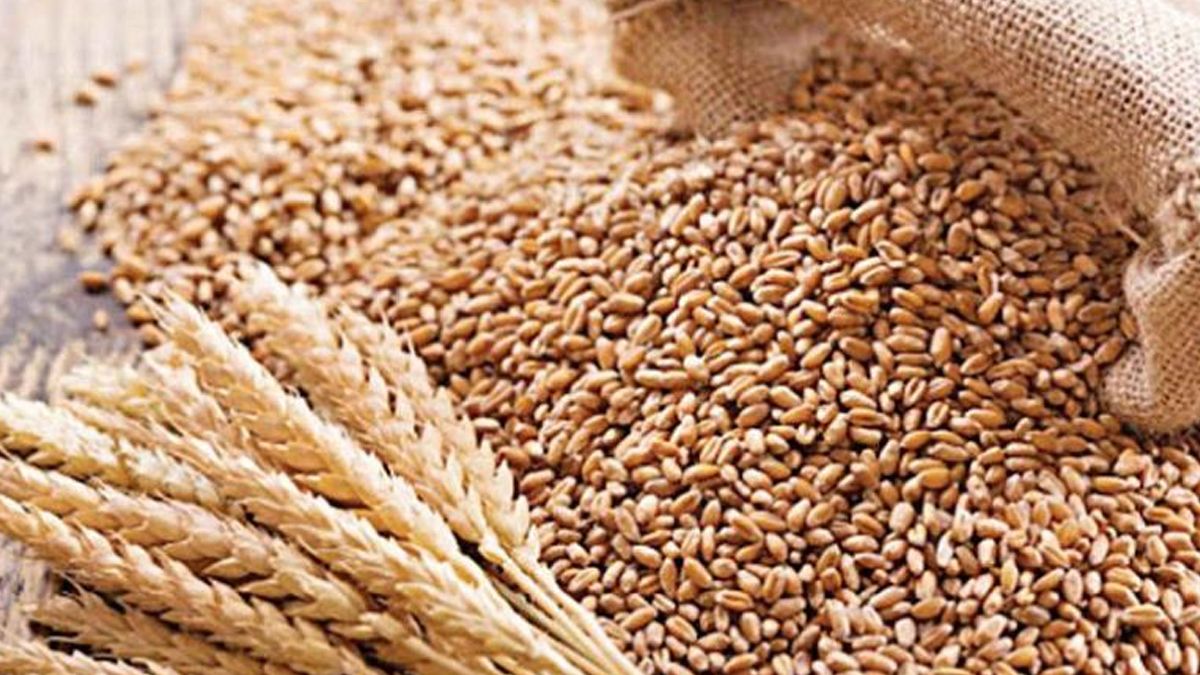 যুক্তরাষ্ট্র থেকে এলো ১ লাখ ৭৫ হাজার টন গম