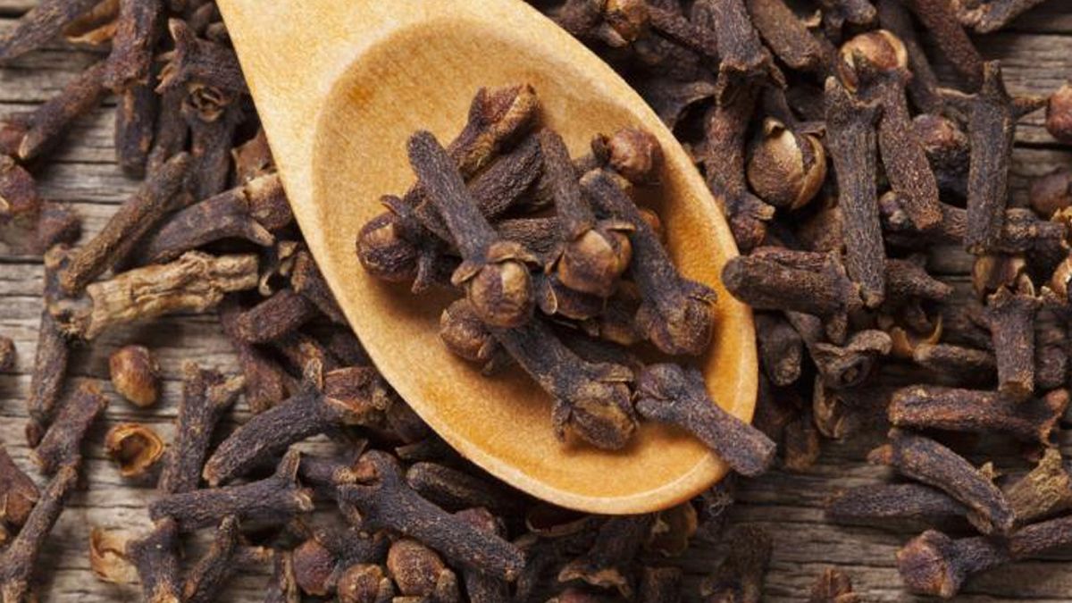 হাড় মজবুত রাখতে পারে লবঙ্গ, যা বলছে গবেষণা