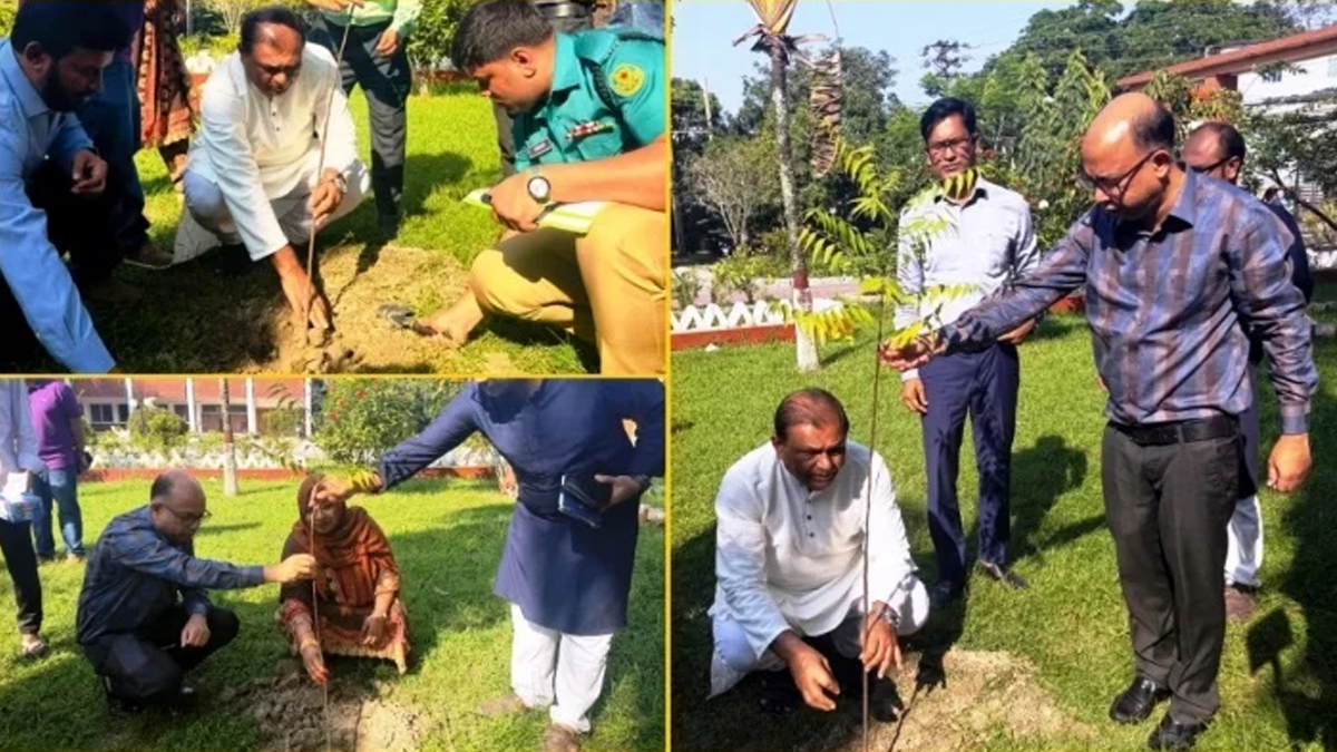 নেত্রকোনায় বৃক্ষরোপণ করলেন শিক্ষা মন্ত্রণালয়ের সিনিয়র সচিব