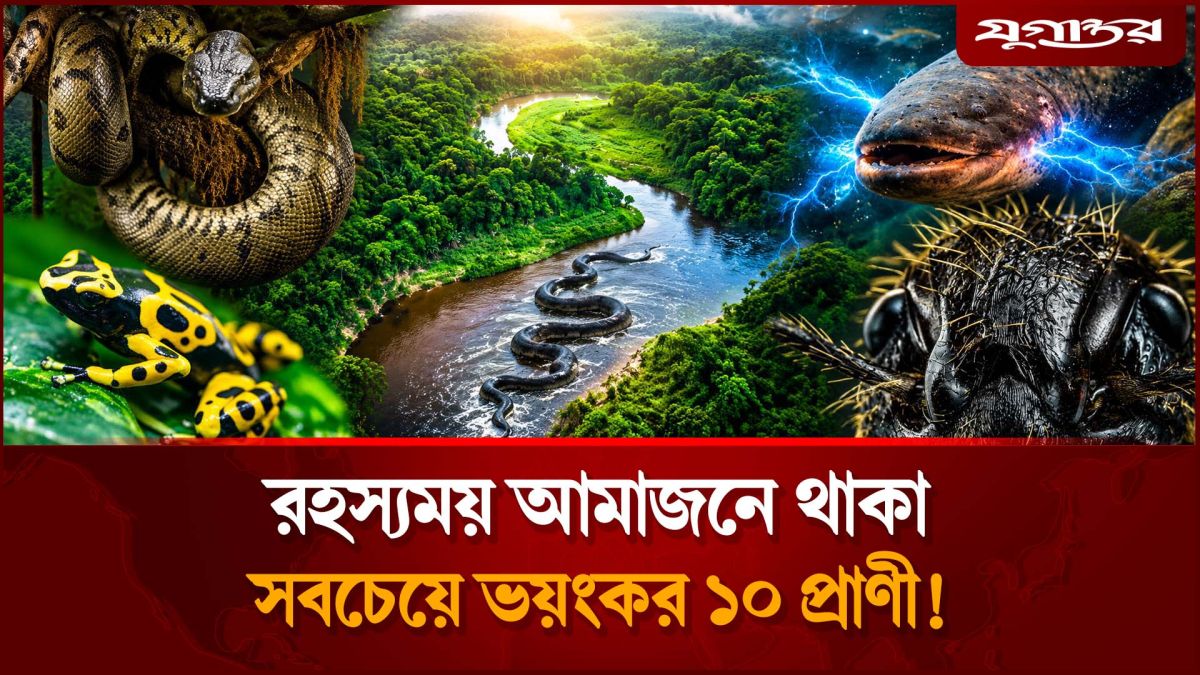 রহস্যময় আমাজনে থাকা সবচেয়ে ভয়ংকর ১০ প্রাণী!