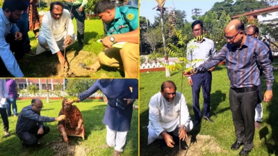 নেত্রকোনায় বৃক্ষরোপণ করলেন শিক্ষা মন্ত্রণালয়ের সিনিয়র সচিব
