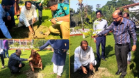 নেত্রকোনায় সস্ত্রীক বৃক্ষরোপণ করলেন শিক্ষা মন্ত্রণালয়ের সিনিয়র সচিব