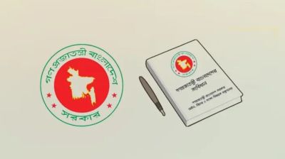 সাংবিধানিক রক্ষাকবচ কোথায়