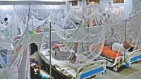 ডেঙ্গুতে একদিনে ৫ জনের মৃত্যু