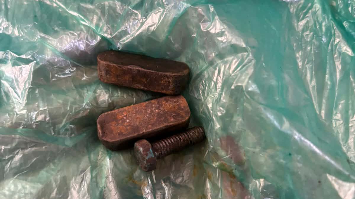 ডিমের আশায় মাছ কাটতেই বেরোল নাটবল্টু-লোহা!