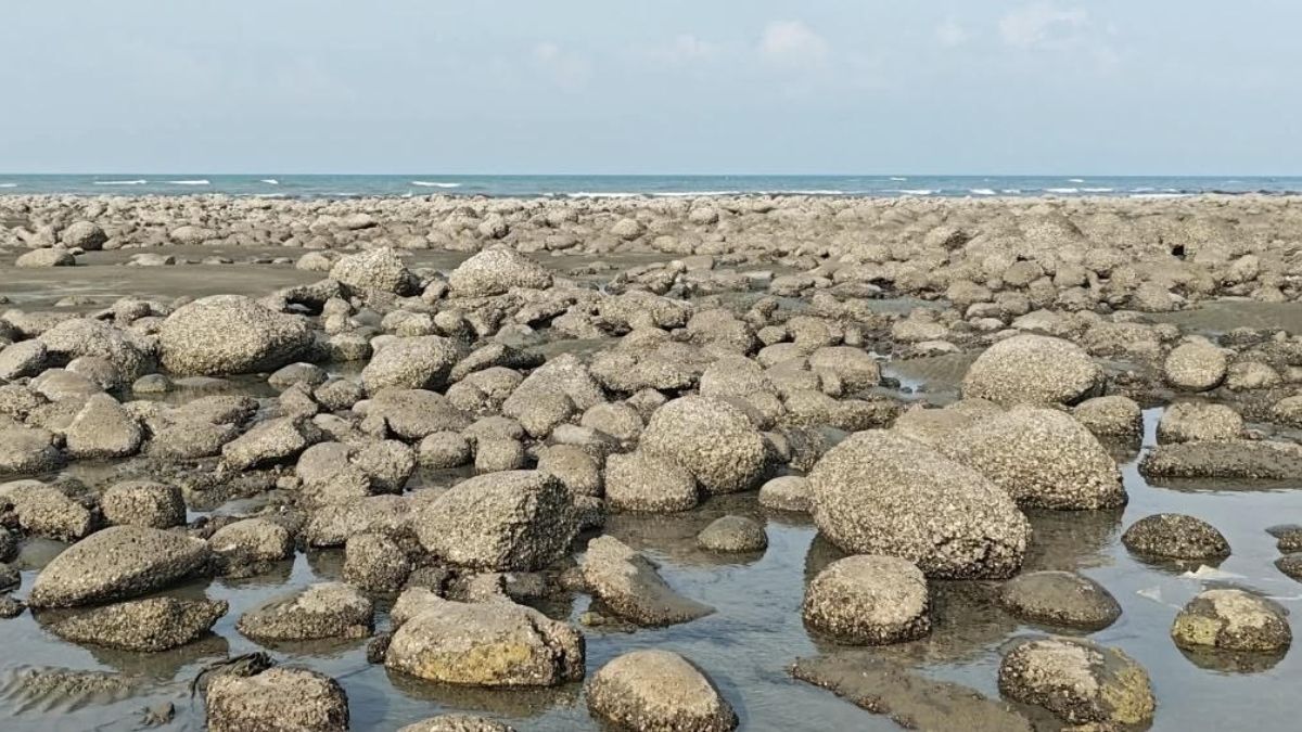 নীল জলরাশি আর নারিকেলগাছের হাতছানি, খুলছে সেন্টমার্টিন
