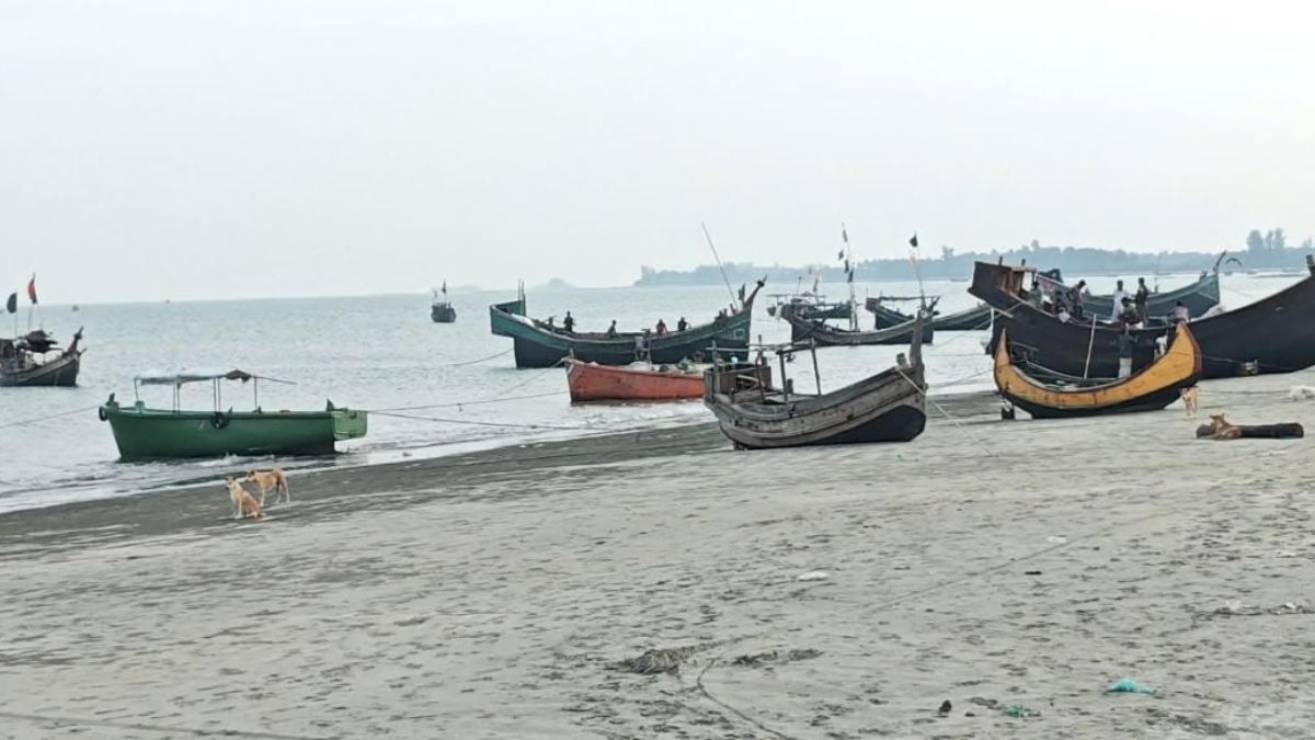 নীল জলরাশি আর নারিকেলগাছের হাতছানি, খুলছে সেন্টমার্টিন