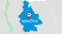 মেয়াদোত্তীর্ণ শ্যাম্পু পানে ২ শিশুর মৃত্যু