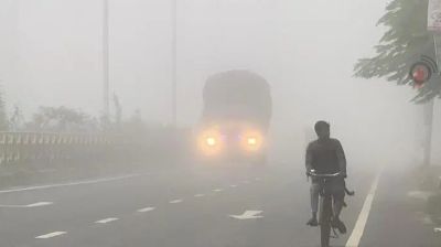 ধূসর রাষ্ট্রের কাছে এক বিষণ্ন শালিকের গান