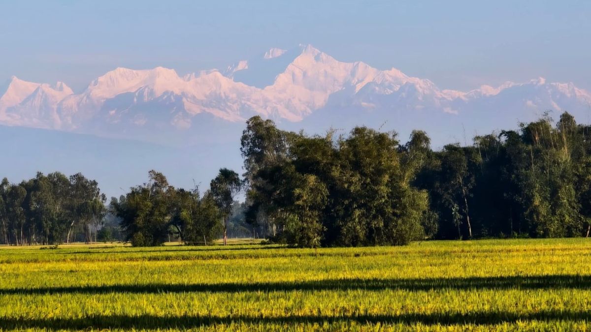 নীলাকাশে উঁকি দিচ্ছে কাঞ্চনজঙ্ঘা