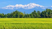 নীলাকাশে উঁকি দিচ্ছে কাঞ্চনজঙ্ঘা