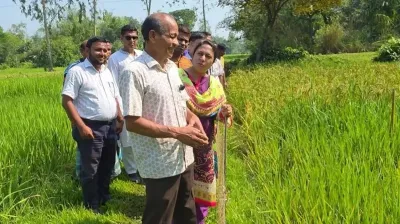 স্বীকৃতিহীন সাধনা