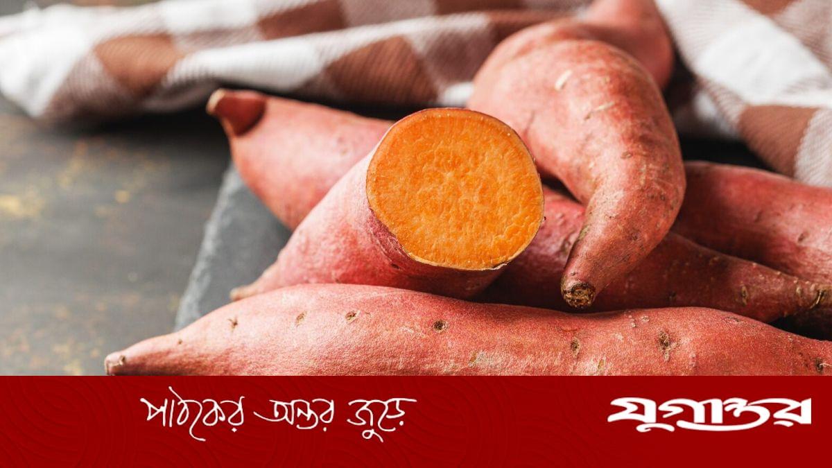 ১০ উপকার পেতে প্রতিদিন খান মিষ্টি আলু