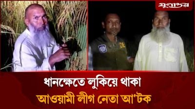 ধানক্ষেতে লুকিয়ে থাকা আওয়ামী লীগ নেতা আটক