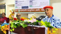 শেরেবাংলা চেয়েছিলেন অবিভক্ত বাংলা: আবদুল হাই শিকদার