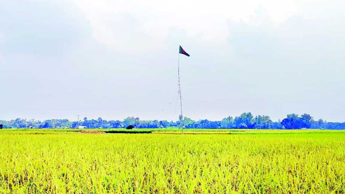 স্বপ্নের মাঠ পেল বাবুপুর