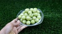 ডায়াবেটিস রোগের জন্য আমলকী কতটা উপকারী